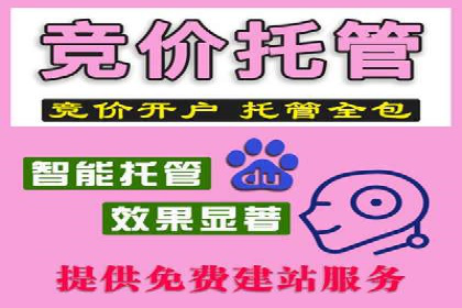 搜索引擎营销（SEM）广告的五大经典案例